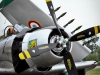 NextGen ScrollGallery thumbnail